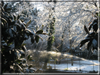 foto Parco Sebellin in Inverno